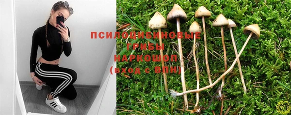 герыч Дмитров