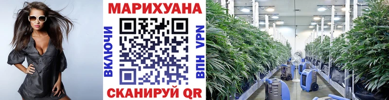 OMG ссылки  Нея  Бошки марихуана AK-47  где можно купить  